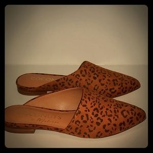 Leopard slides